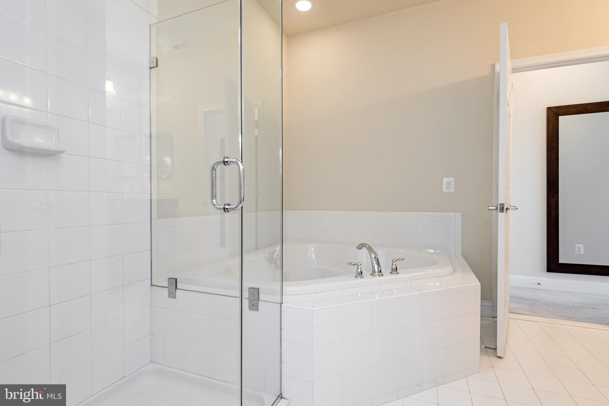 20654 Sibbald Square Ashburn, VA 20147 - Photo 31 of 43 a bathroom with a sink a glass door shower and a mirror