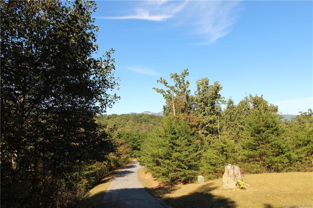 0 Boulder Ridge, Unit 45 Lake Lure, NC 28746 - Photo 6 of 9