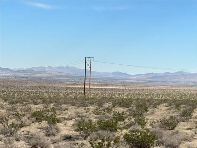 a view of an ocean from a yard