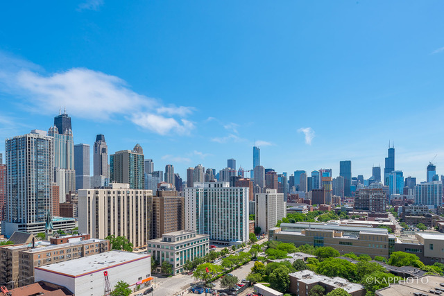 230 West Division Street, Unit 802 Chicago, IL 60610 - Photo 13 of 18