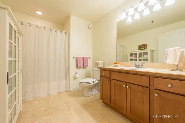 230 West Division Street, Unit 802 Chicago, IL 60610 - Photo 10 of 18