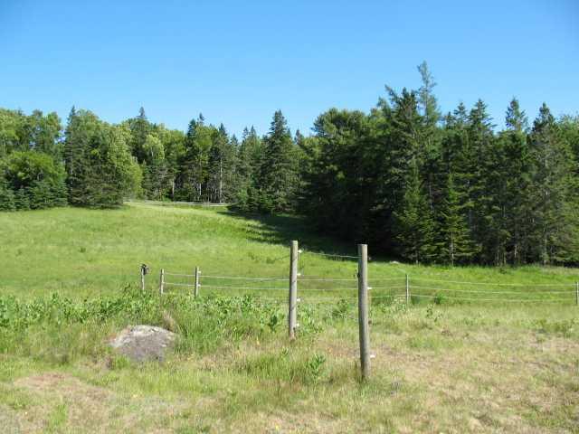 6 Gray Farm Road Mount Desert, ME 04660 - Photo 12 of 19 Land.