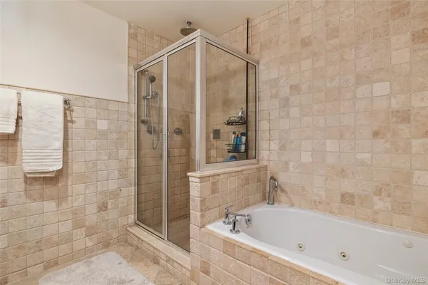 a bathroom with a bathtub and a shower