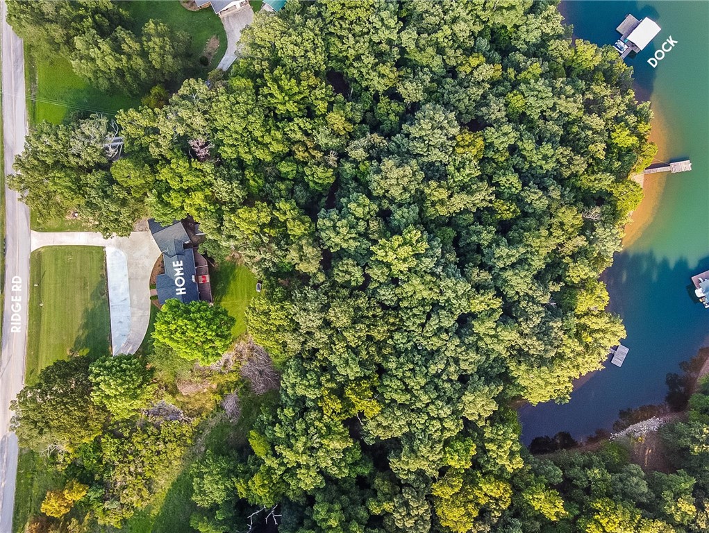 2534 Ridge Road Hartwell, GA 30643 - Photo 4 of 50