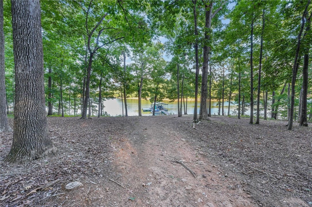 2534 Ridge Road Hartwell, GA 30643 - Photo 49 of 50