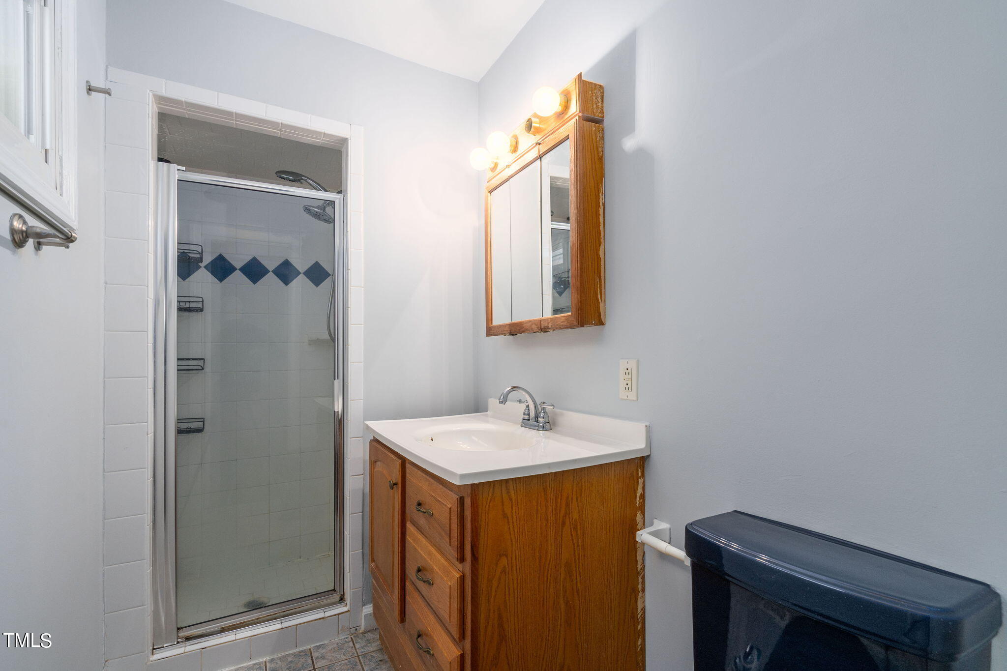 126 Clarendon Crescent Raleigh, NC 27610 - Photo 37 of 40 a bathroom with a sink and a mirror