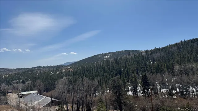a view of a city with lush green forest