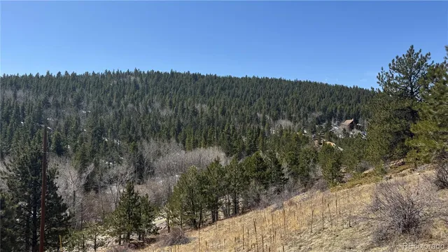 a view of a city with lush green forest