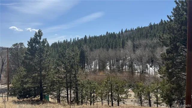a view of river covered with trees