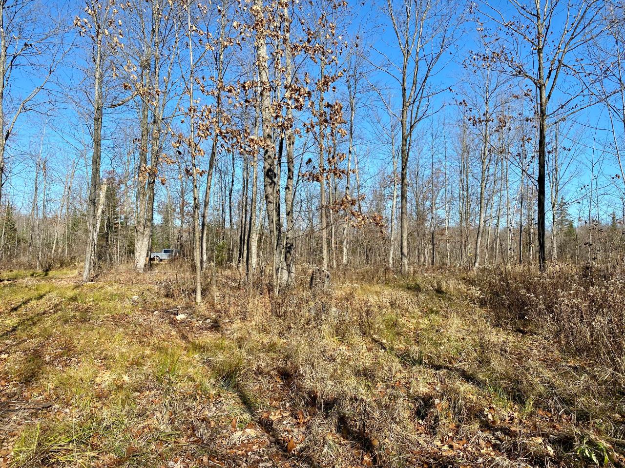 W4649 Mail Rte Road Prentice, WI 54556 - Photo 6 of 6 Gallery Image 6