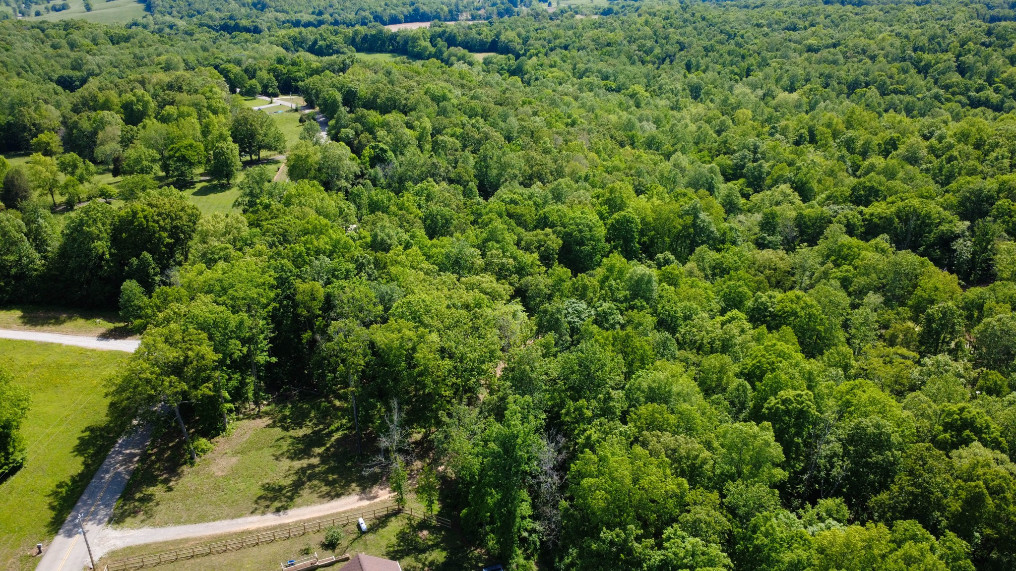 0 Akin Road Cunningham, TN 37052 - Photo 12 of 16