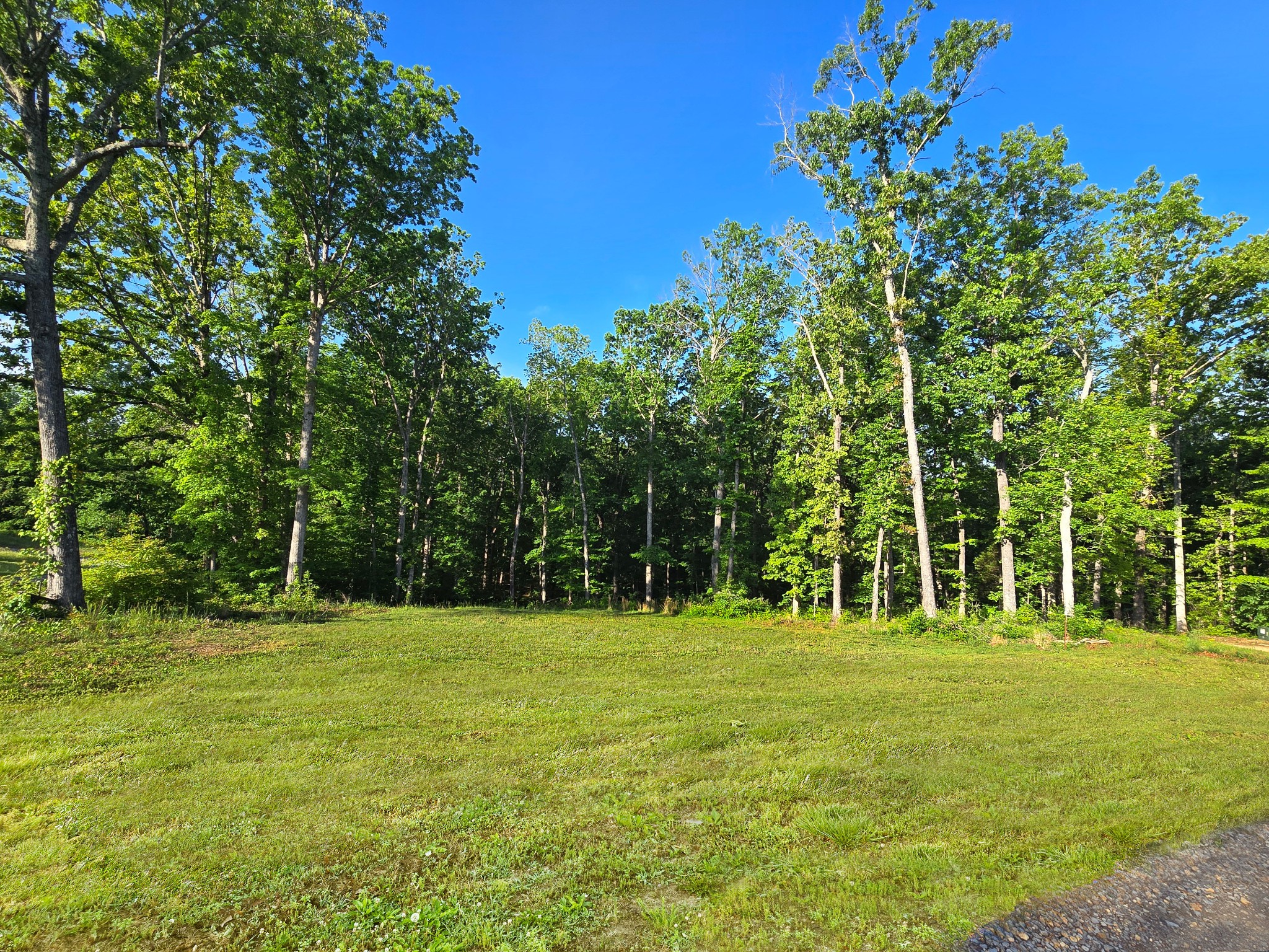 0 Akin Road Cunningham, TN 37052 - Photo 3 of 16