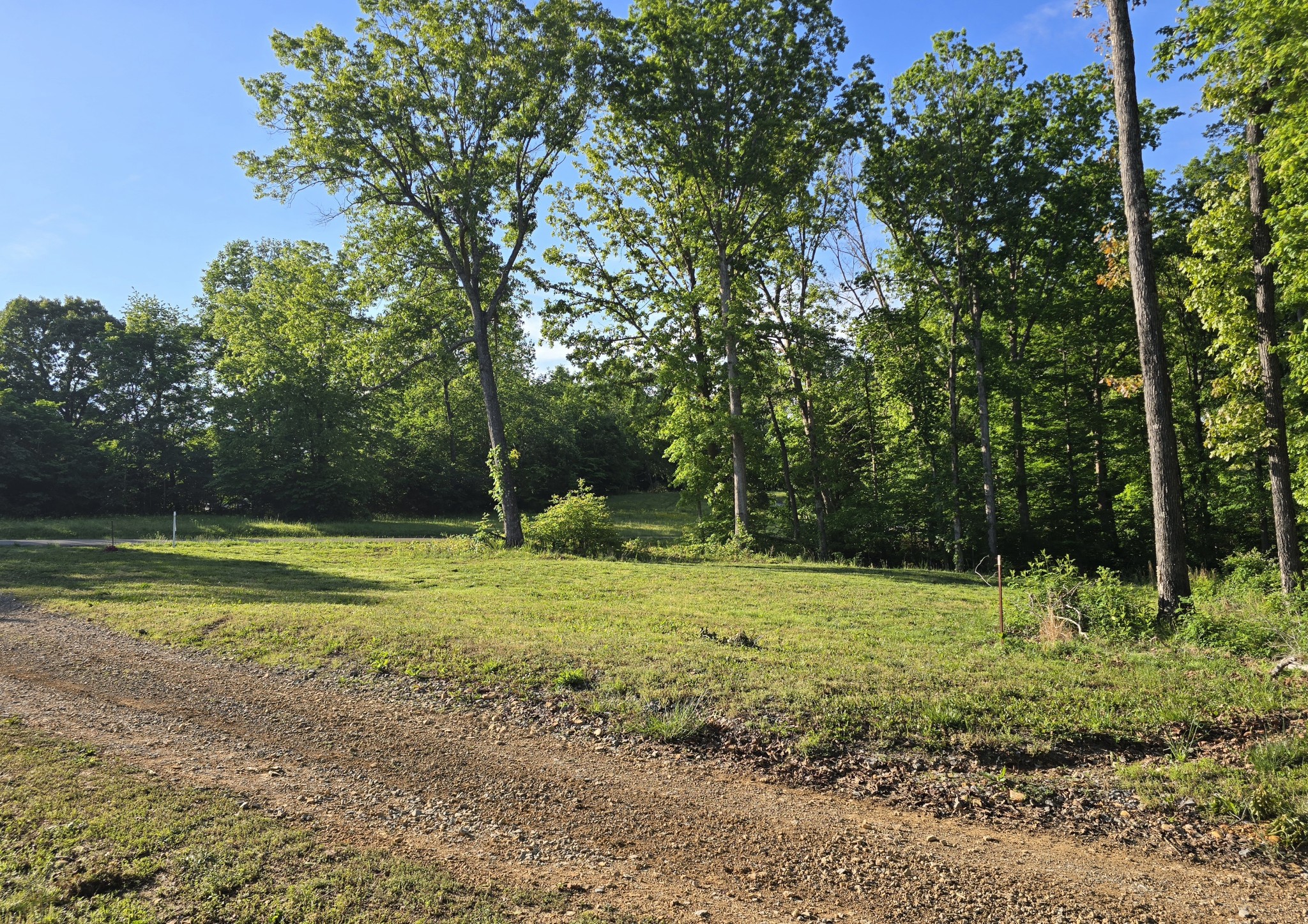 0 Akin Road Cunningham, TN 37052 - Photo 6 of 16