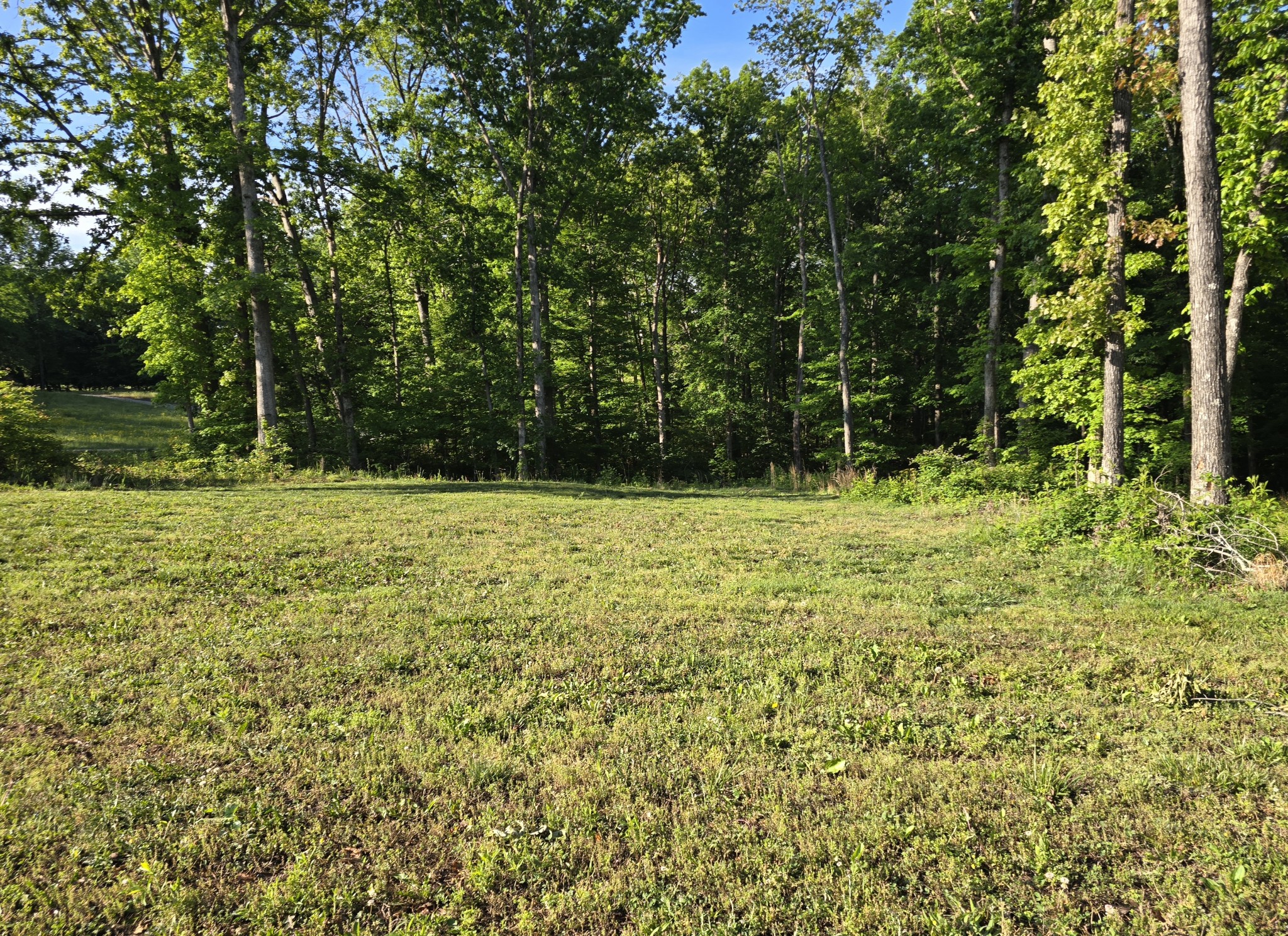 0 Akin Road Cunningham, TN 37052 - Photo 7 of 16