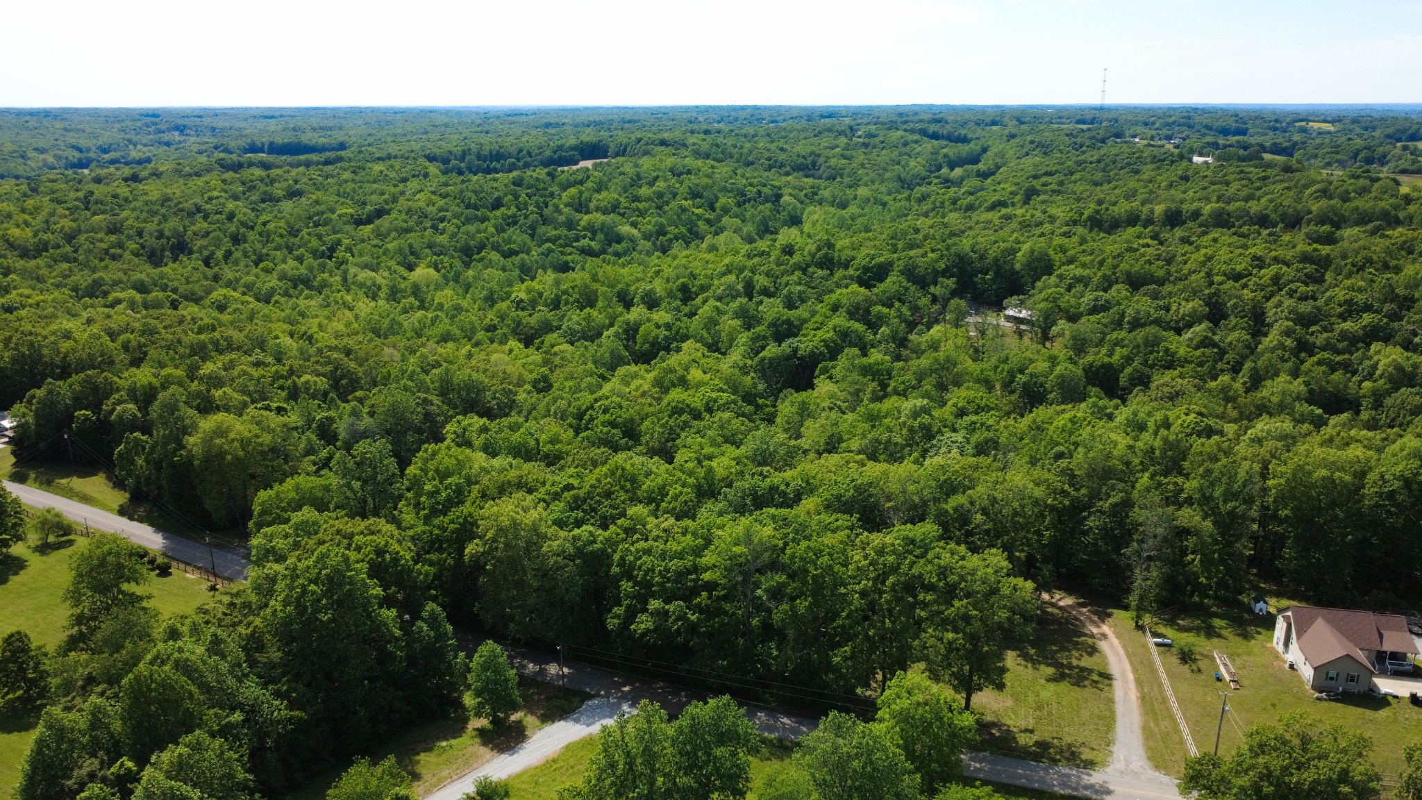 0 Akin Road Cunningham, TN 37052 - Photo 10 of 16