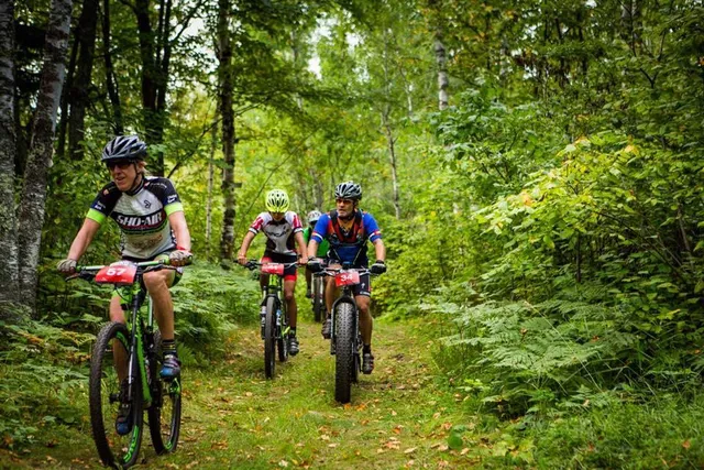 $48,500 | 6580 Voyageur's Trail, Biwabik, MN 55705