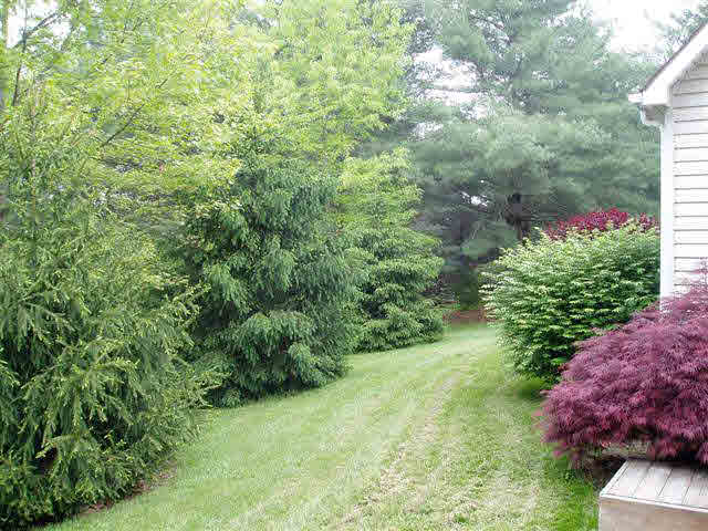 788 Niswander Road Staunton, VA 24401 - Photo 6 of 8 Gallery Image 6