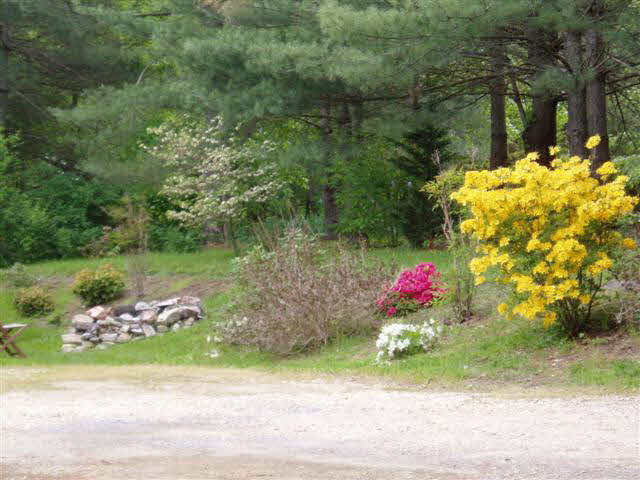 788 Niswander Road Staunton, VA 24401 - Photo 7 of 8 Gallery Image 7