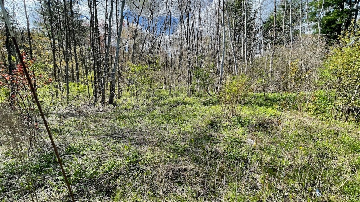 0 Co Rt 46 Fulton, NY 13069 - Photo 1 of 1