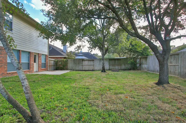 a view of a forest with trees in the background