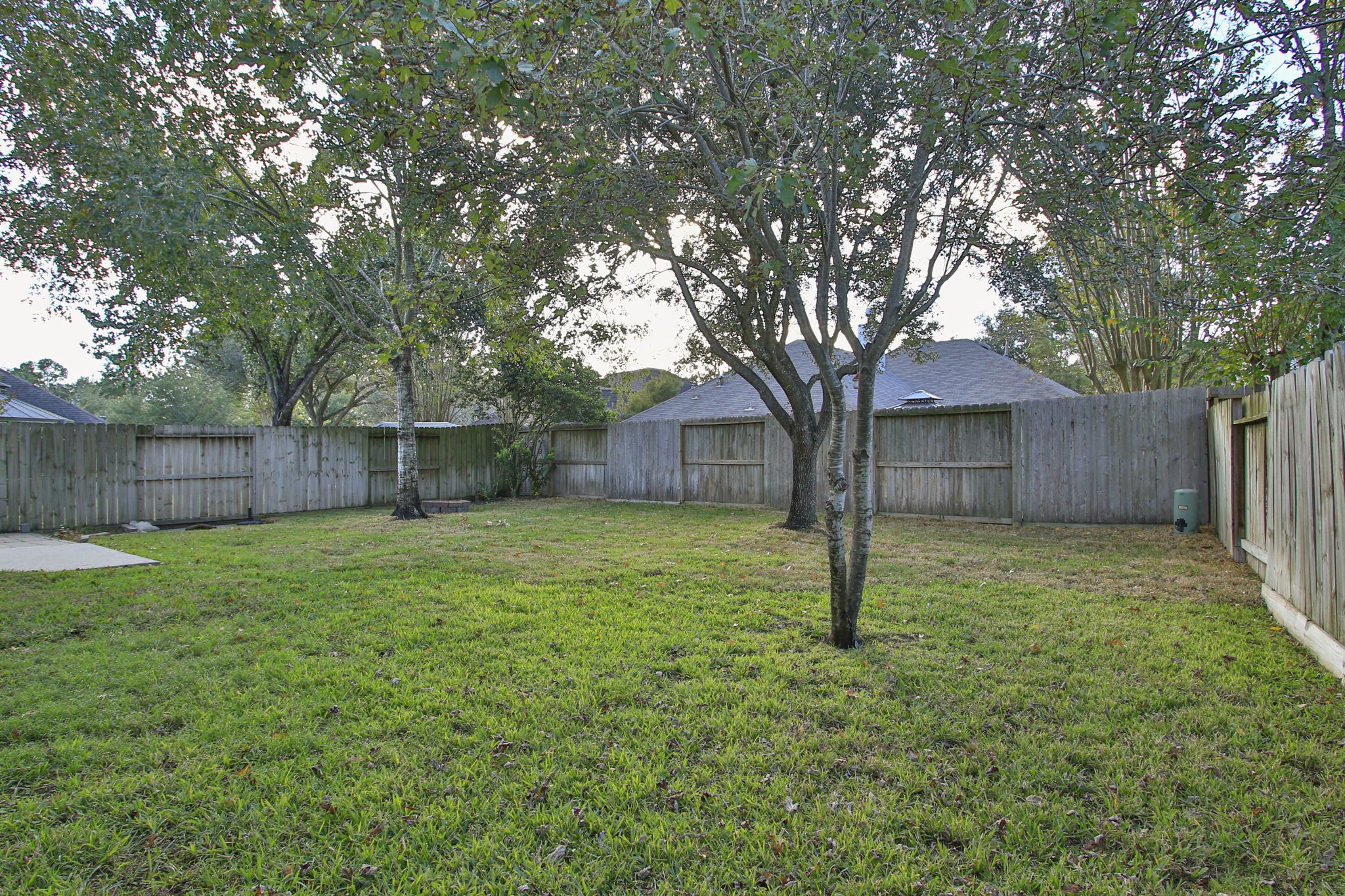 21035 Summer Trace Lane Spring, TX 77379 - Photo 40 of 50 a house with a tree in the grass