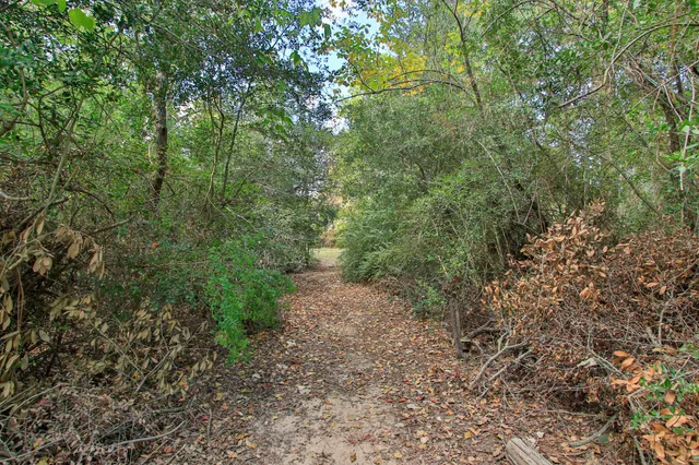 a view of a lake with a yard and large trees