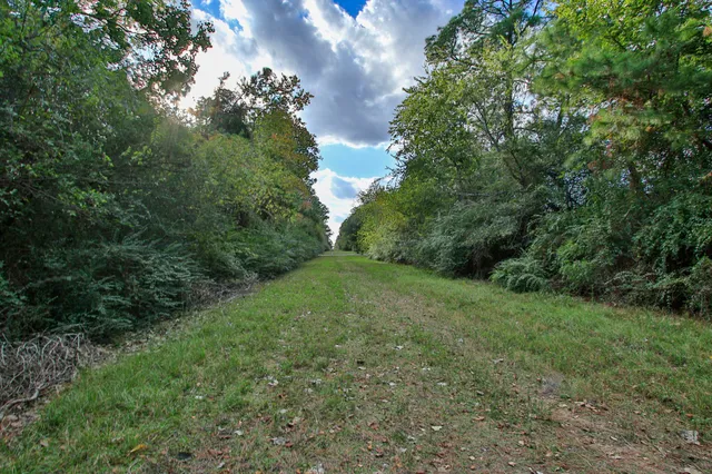 a view of outdoor space with entertaining space