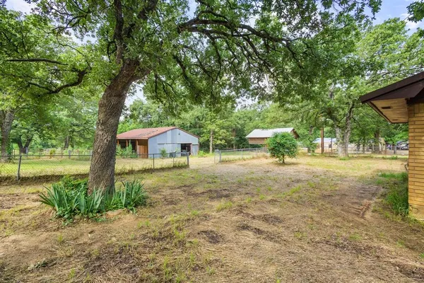 a view of a yard with plants and trees