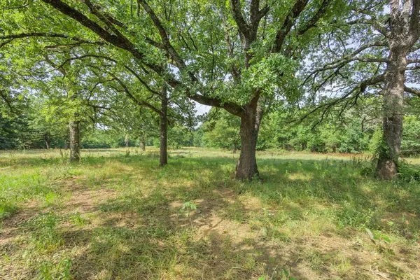 a view of outdoor space with a garden
