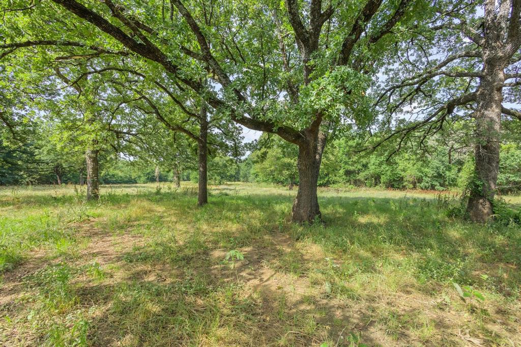5994 Fm 1753 Denison, TX 75021 - Photo 34 of 34 a view of outdoor space with a garden