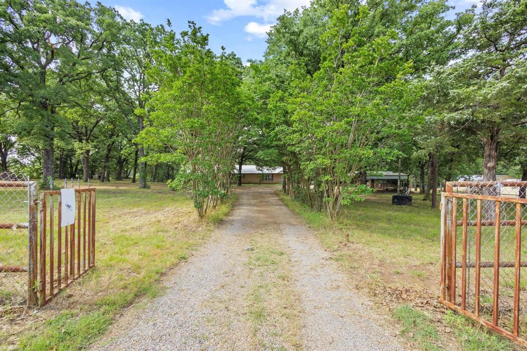 5994 Fm 1753 Denison, TX 75021 - Photo 9 of 34 a view of a garden with large trees