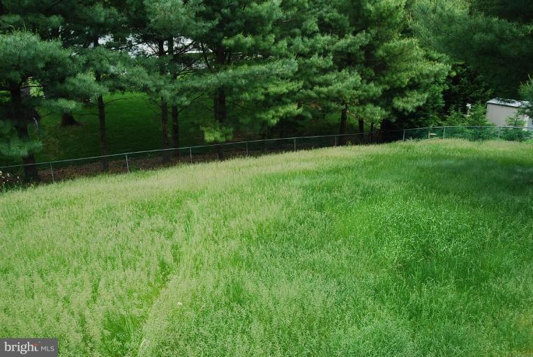 10433 Sweepstakes Road Damascus, MD 20872 - Photo 3 of 15 Back yard
