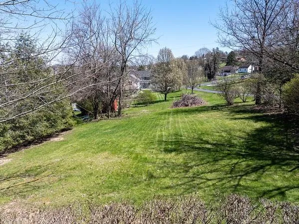 a view of a park with large trees