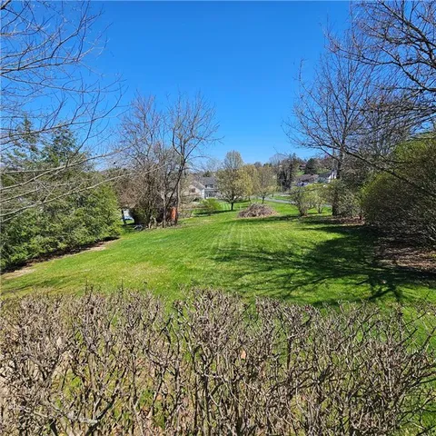 a view of a grassy field with an trees
