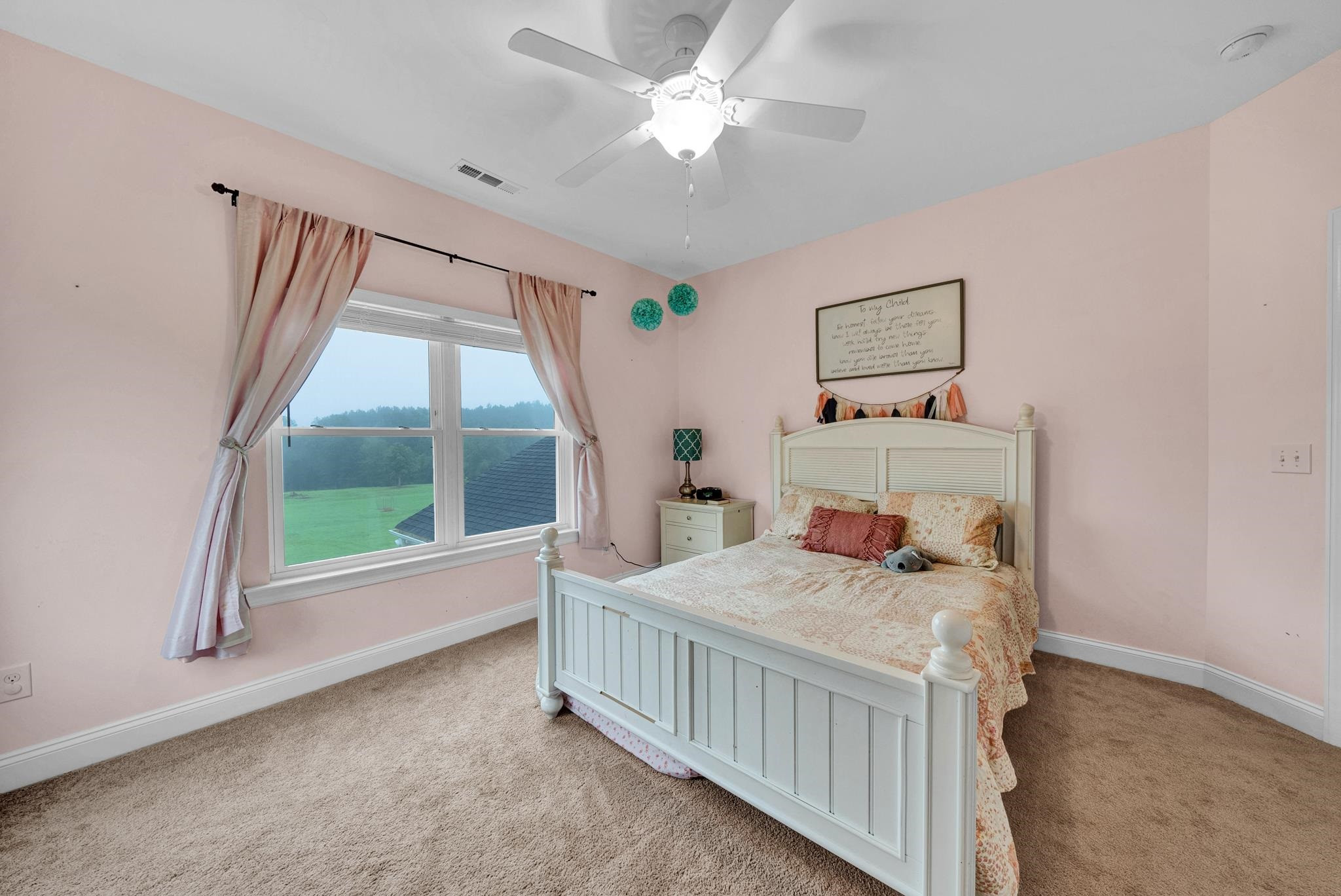 256 Old Murphy Road Zebulon, NC 27597 - Photo 15 of 30 Photo 15