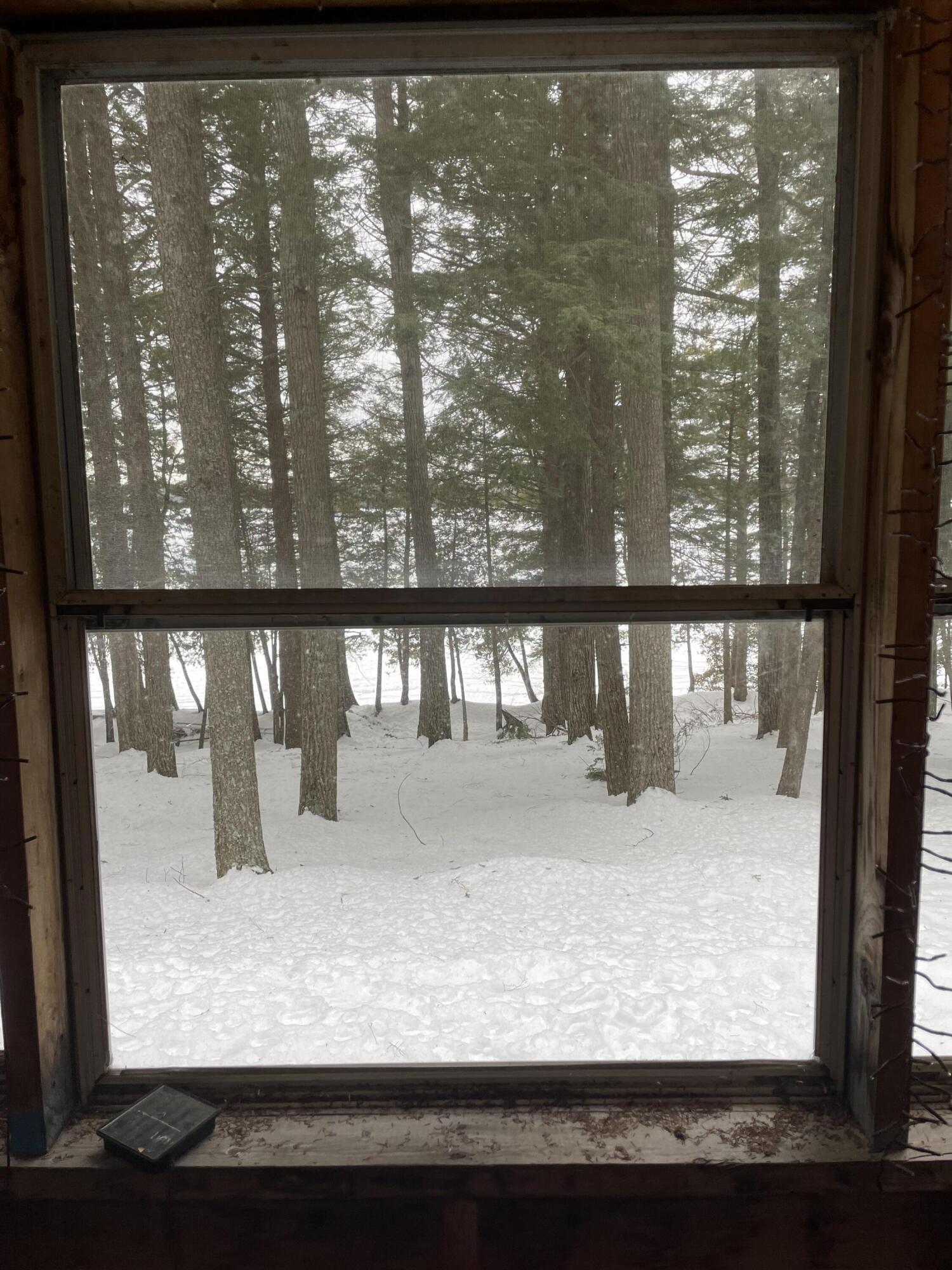 6 Cook Island Milo, ME 04463 - Photo 19 of 29 IMG-2422