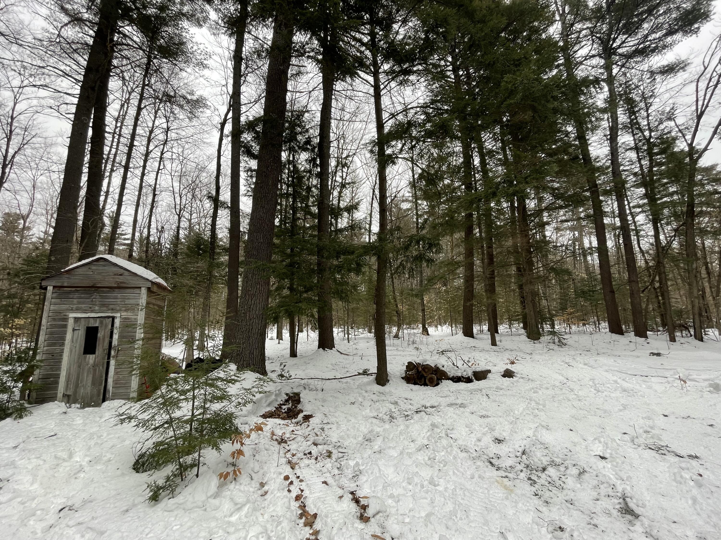 6 Cook Island Milo, ME 04463 - Photo 22 of 29 IMG-2427