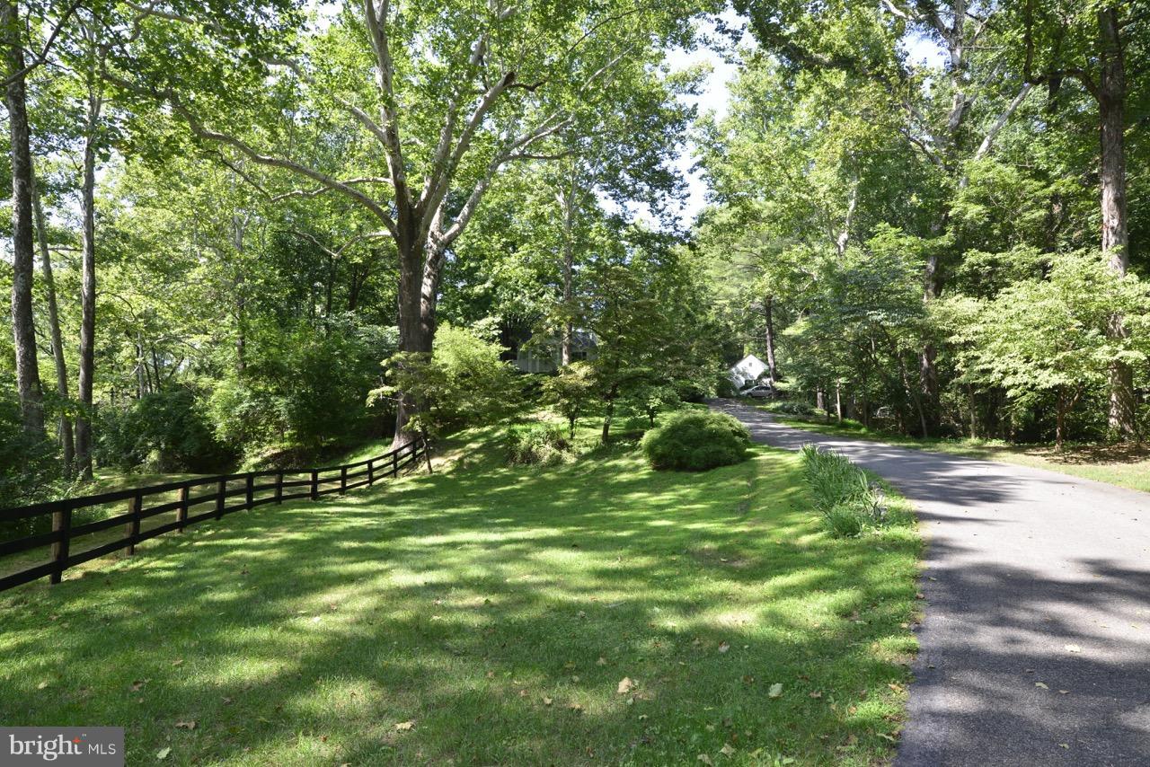 3072 Swift Shoals Road Boyce, VA 22620 - Photo 29 of 30 a lush green forest with lots of trees