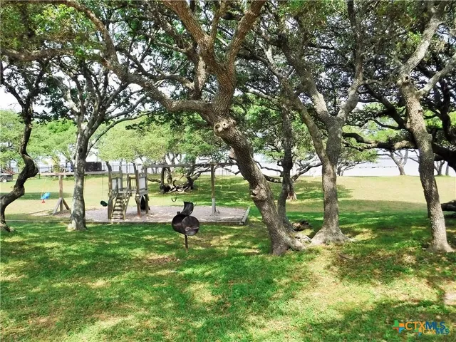 a view of a park with large trees