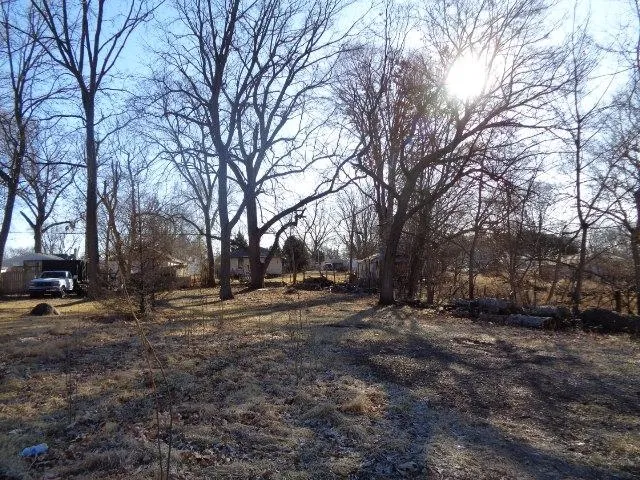 a view of a yard with a tree
