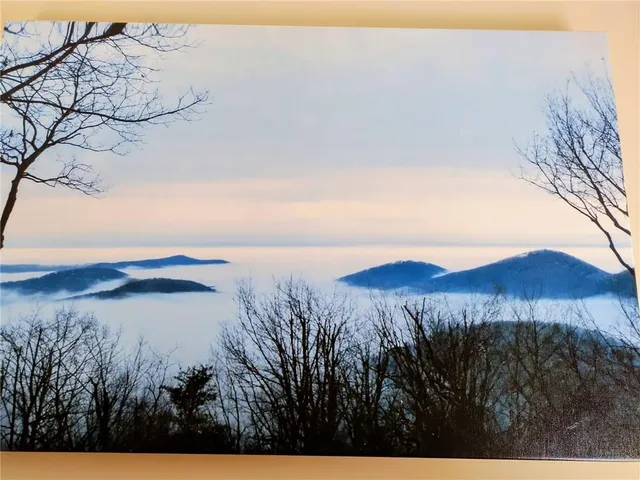 a backyard of a house with lots of trees