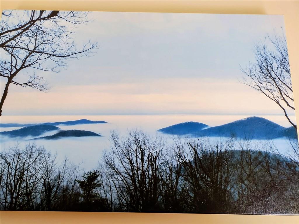 79 Strawberry Way Jasper, GA 30143 - Photo 3 of 67 a view of a backyard