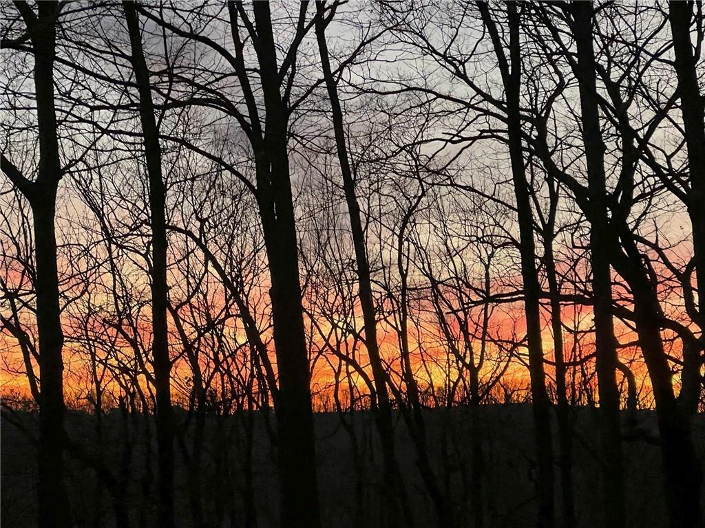 79 Strawberry Way Jasper, GA 30143 - Photo 4 of 67 a backyard of a house with lots of trees
