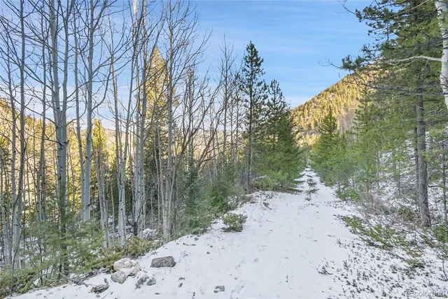 a view of a dirt road with trees in the background