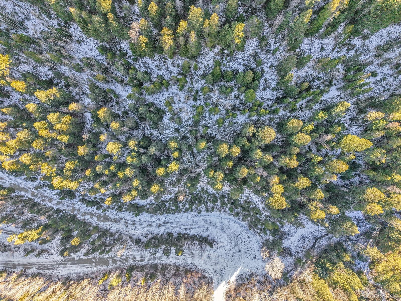 Clear Creek Rd Road Evergreen, CO 80439 - Photo 17 of 33