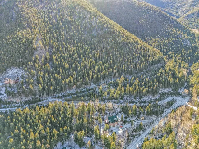 a view of a forest with a mountain