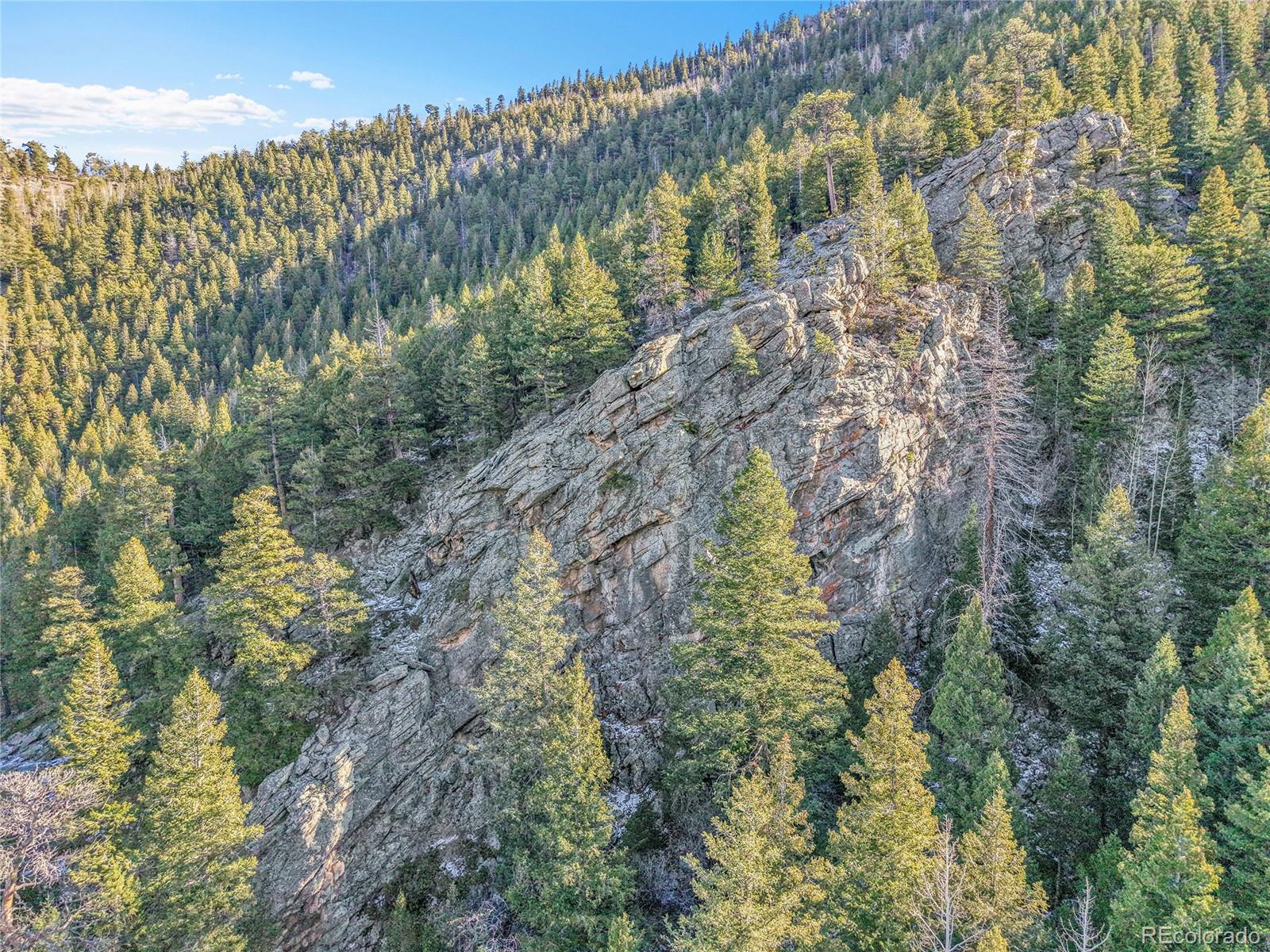 Clear Creek Rd Road Evergreen, CO 80439 - Photo 25 of 33 a view of a yard with plants and wooden fence