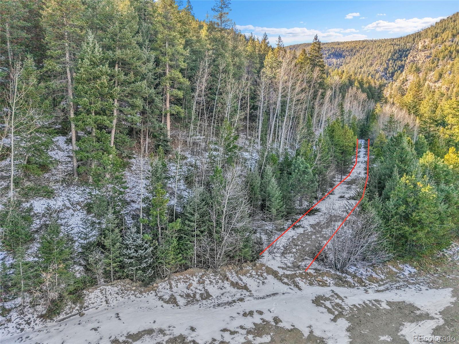 Clear Creek Rd Road Evergreen, CO 80439 - Photo 6 of 33 a view of a forest with lots of trees