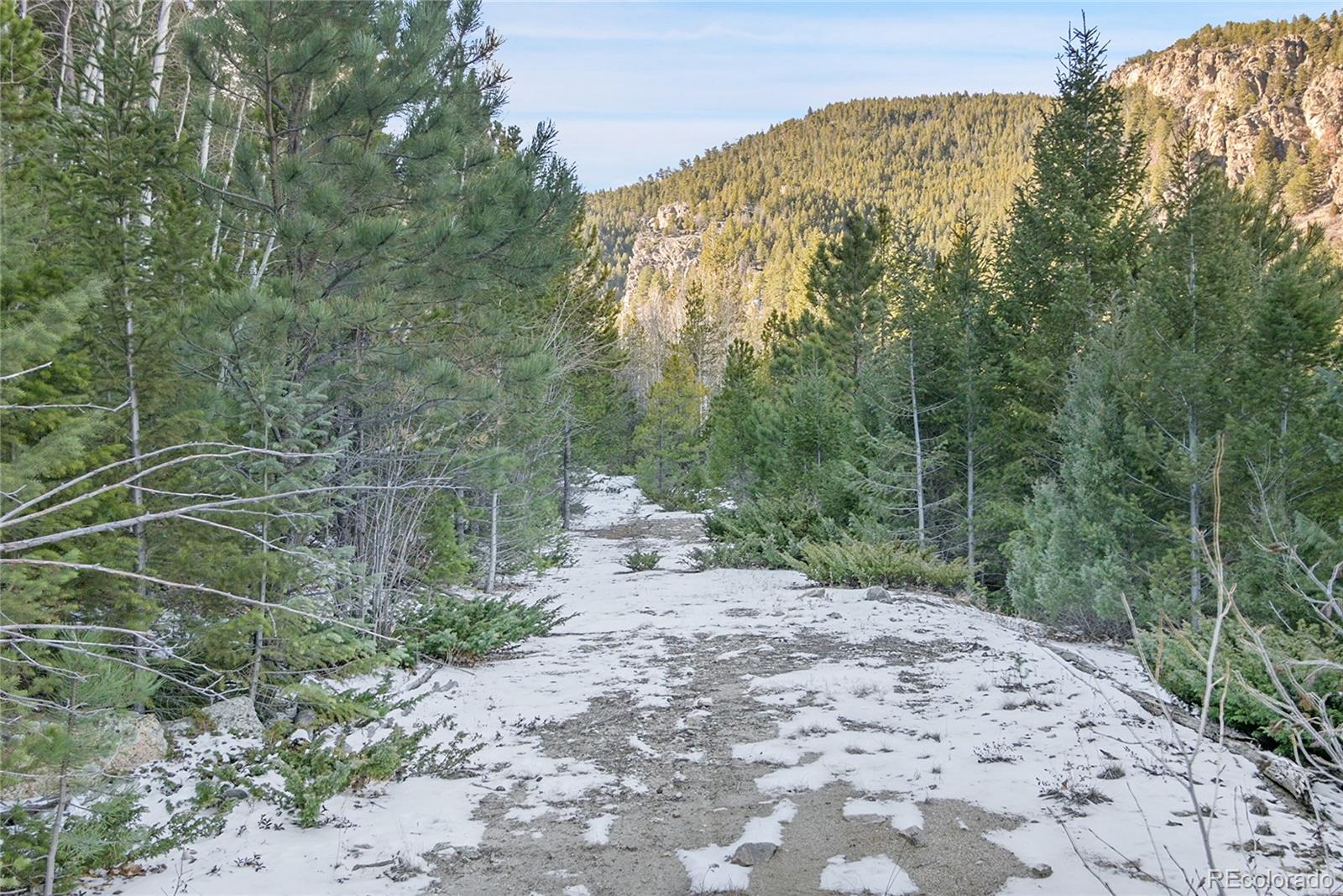 Clear Creek Rd Road Evergreen, CO 80439 - Photo 7 of 33 a view of a pathway with a yard