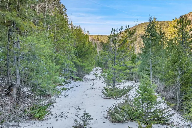 a view of a road with a yard